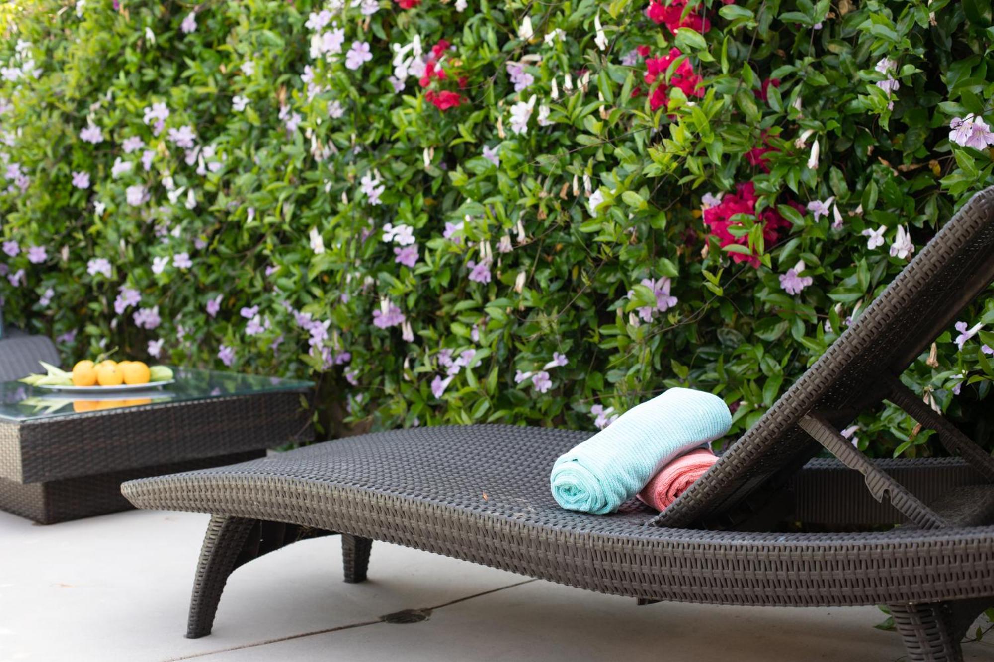 Oasis With Pool And Music Studio By Benvenu لوس أنجلوس المظهر الخارجي الصورة